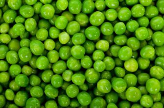 Казахстан закупил на Кубани 1300 тонн рапса и 1600 тонн гороха