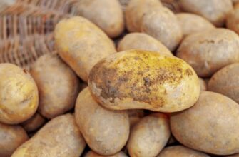 В Талдыкоргане понизили цену на некачественный картофель на 41%