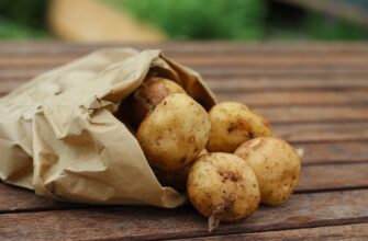 Казахстан нарастил экспорт картофеля в 85,2 раза