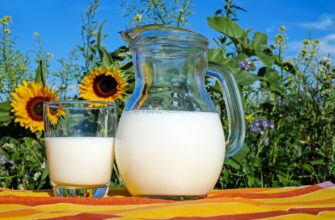 В Казахстане импортозависимость по молоку в твердой форме достигла 91,2%