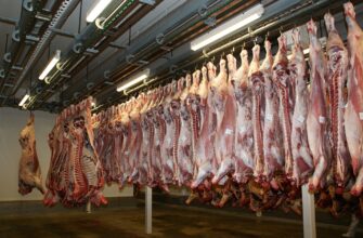 Китай снял ограничения с ввоза мяса из РК, действовавшие с 2005 года
