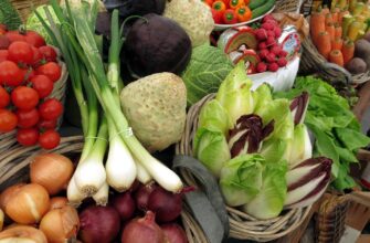 В 2023 году Северо-Казахстанская область выйдет на полную самообеспеченность овощами