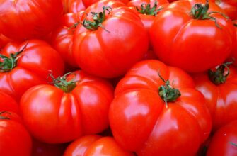 В Казахстане зафиксировали сильный месячный рост цен на помидоры