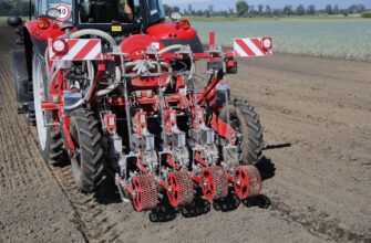 На юге РК посеяли сельхозкультуры на 311 тысячах гектарах