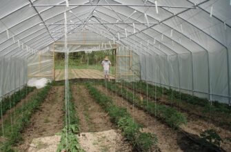 В Алматинской области откроют 3 и модернизируют 2 тепличных комплекса за 101 миллиард