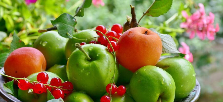 Казахстан возглавил антирейтинг цен на яблоки среди стран СНГ