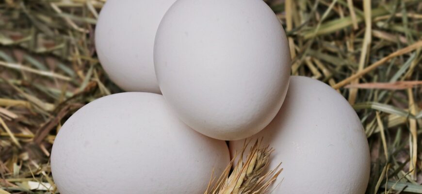 В Атырауской области выявили подорожания яиц и риса