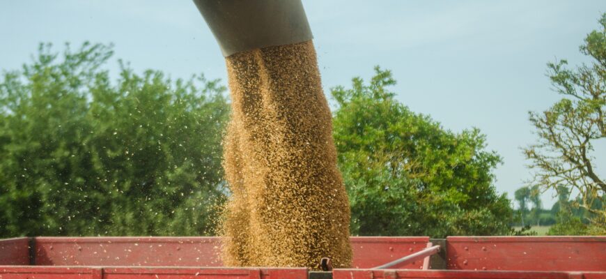 Казахстан увеличит экспорт зерна и муки на 4%