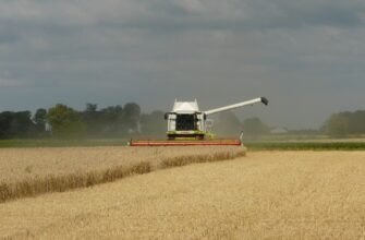 В ЕС прогнозируют падение урожайности мягкой пшеницы и озимого ячменя