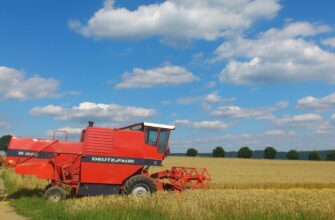 Турция купит на тендере 565 тысяч тонн пшеницы