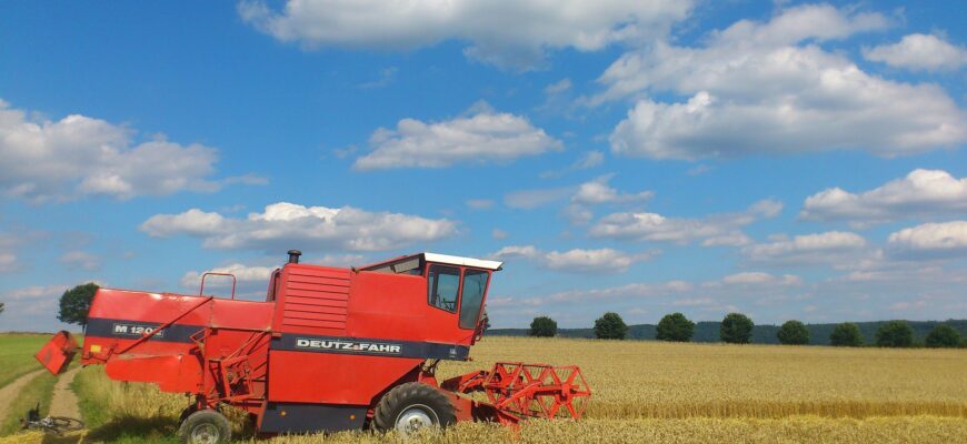 Турция купит на тендере 565 тысяч тонн пшеницы