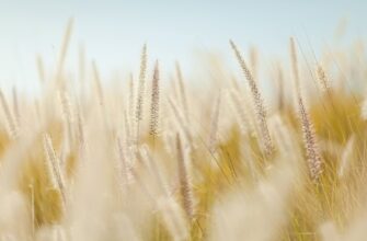 В 2023 году в Казахстане намолотят свыше 21 млн тонн зерна
