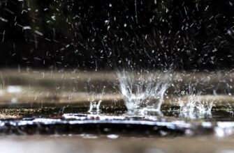 Безопасно ли пить дождевую воду?