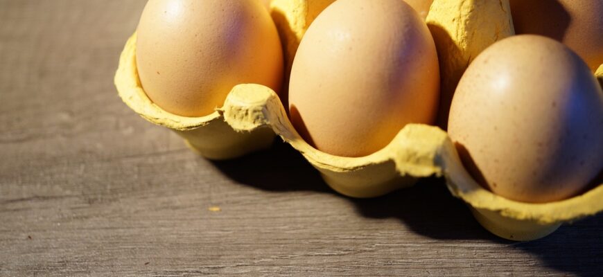В Казахстане яйца с себестоимостью в 350 тенге продают по 600-700 тенге за десяток в рознице
