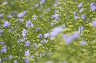 Казахстанцы увеличили продажи семян льна и изделий из металла в 73,6 раз