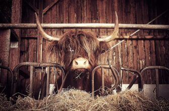 В Казахстане реализуют 850 инвестпроектов за 30 триллионов