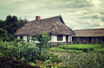 В Казахстане анонсировали новые микрозаймы сельчанам под 2,5%