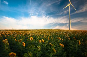 Китайская компания локализует сборку оборудования ветроэлектростанций в Казахстане