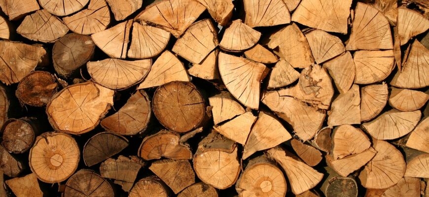 Из РК запретили вывозить древесину