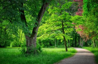 В РК ввели уголовную ответственность за эковандализм