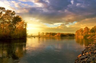 В реке Сырдарье упадет уровень воды на 5% к 2050 году
