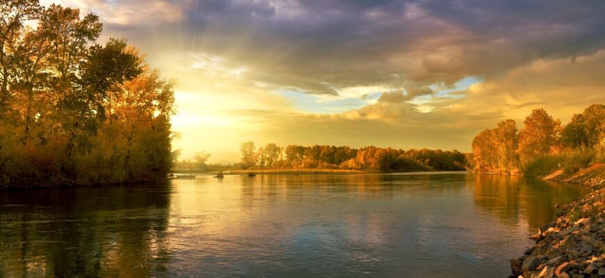 В реке Сырдарье упадет уровень воды на 5% к 2050 году