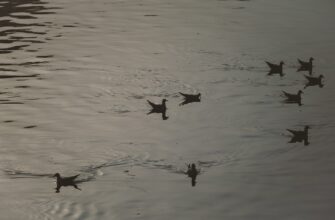 Актау грозит отсутствие тепла и воды из-за падения уровня воды в Каспийском море