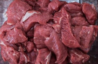 В Семее построят мясокомбинат за 9,8 миллиардов в сотрудничестве с РФ