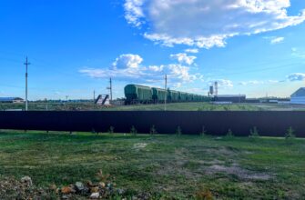 В Казахстане будут требовать от экспортеров-импортеров зерна новый документ