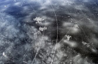 В Павлодарской области проводят операцию по спасению рыбы