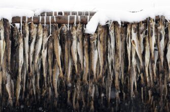 В СКО минтай для госпредприятия собирались покупать по 12 тысяч за килограмм