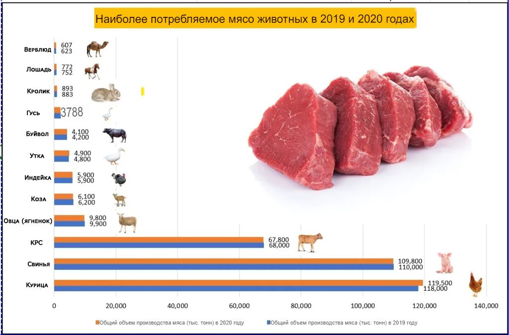 ТОП-10 самых популярных видов мяса в мире