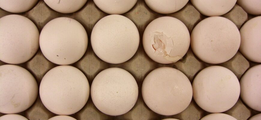 В Уральске предприниматель торговал яйцами с 8,7-процентным завышением цены