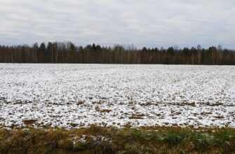 В казахстанских городах упразднят земельные комиссии