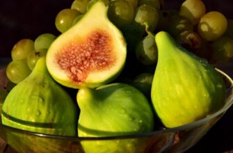 Какие сухофрукты помогут восстановить позвоночник после сильных нагрузок?