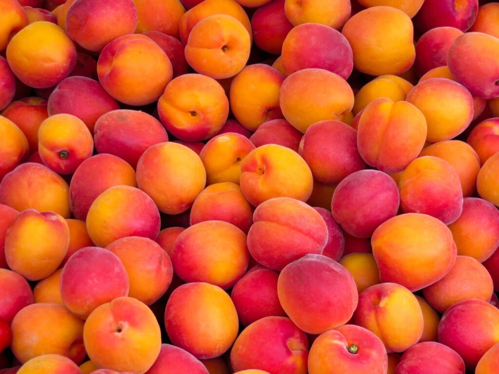 ТОП-15 самых популярных фруктов в мире