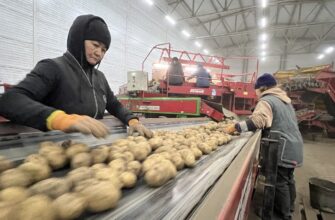 В РК увеличат норматив возмещения затрат на строительство овощехранилищ до 40-50%