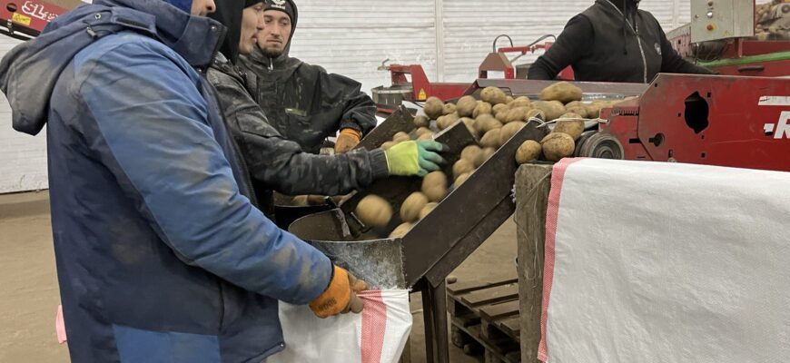 В РК выбрасывают до 40% овощей из-за нехватки овощехранилищ