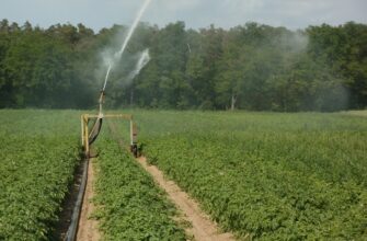Жамбылские аграрии будут втрое меньше платить за поливную воду