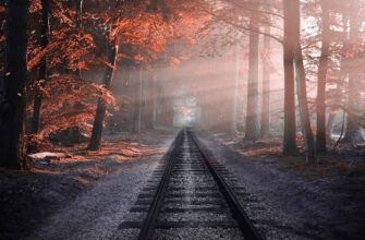 Из Астаны пустят поезд до Алаколя