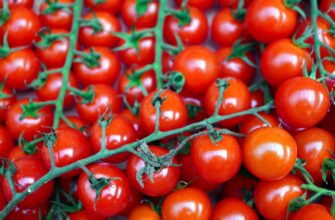 Турция сняла запрет с экспорта помидоров