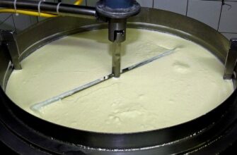 Под Кызылордой китайцы построят завод по производству молочной сыворотки