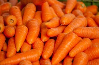 В Петропавловске морковь подорожала на 14% за неделю