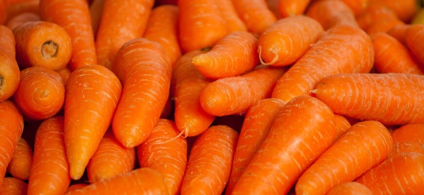 В Петропавловске морковь подорожала на 14% за неделю