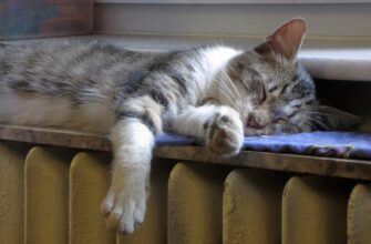 В Экибастузе рассказали, как подготовят ТЭЦ к новому отопительному сезону