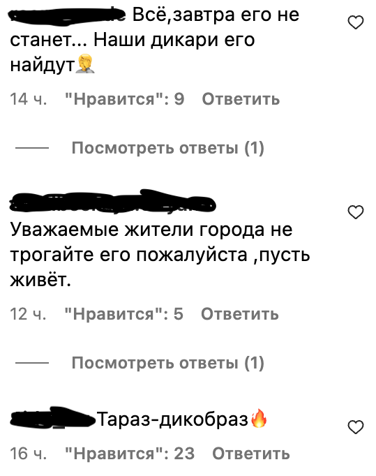 В Таразе по улицам разгуливал краснокнижный зверь