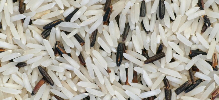 Индия разрешила экспорт только одного сорта риса