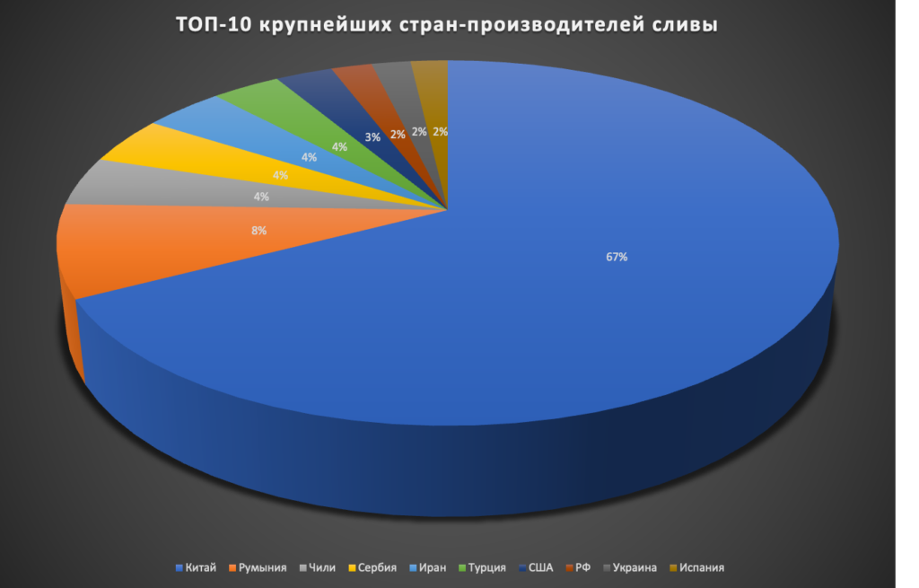 ТОП-10 ведущих стран-производителей сливы