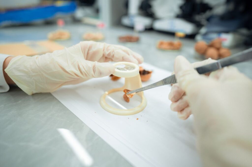 Казахстанские ученые обнаружили в импортных орехах опасный мутаген
